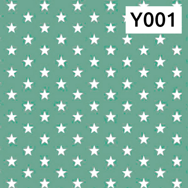 Y001