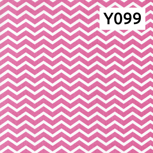 Y099